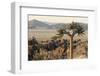 Namibia, Naukluft National Park, Quiver Tree, Aloe, Kokerboom-Stuart Westmorland-Framed Photographic Print