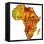 Namibia on Actual Map of Africa-michal812-Framed Stretched Canvas