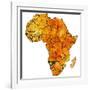 Namibia on Actual Map of Africa-michal812-Framed Art Print