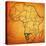 Namibia on Actual Map of Africa-michal812-Stretched Canvas