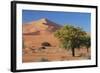 Namibia, Sesriem and Sossusvlei, Sand Dunes Desert at Namib NP-Gavriel Jecan-Framed Photographic Print