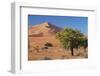 Namibia, Sesriem and Sossusvlei, Sand Dunes Desert at Namib NP-Gavriel Jecan-Framed Photographic Print