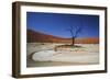 Namibia, Sossusvlei, Deadvlei, Dead Tree with Water Mark-Claudia Adams-Framed Photographic Print