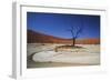 Namibia, Sossusvlei, Deadvlei, Dead Tree with Water Mark-Claudia Adams-Framed Photographic Print