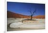 Namibia, Sossusvlei, Deadvlei, Dead Tree with Water Mark-Claudia Adams-Framed Photographic Print