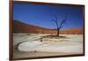 Namibia, Sossusvlei, Deadvlei, Dead Tree with Water Mark-Claudia Adams-Framed Photographic Print