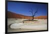 Namibia, Sossusvlei, Deadvlei, Dead Tree with Water Mark-Claudia Adams-Framed Photographic Print