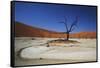 Namibia, Sossusvlei, Deadvlei, Dead Tree with Water Mark-Claudia Adams-Framed Stretched Canvas