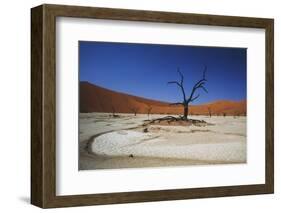 Namibia, Sossusvlei, Deadvlei, Dead Tree with Water Mark-Claudia Adams-Framed Photographic Print