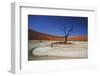 Namibia, Sossusvlei, Deadvlei, Dead Tree with Water Mark-Claudia Adams-Framed Photographic Print