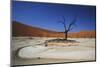 Namibia, Sossusvlei, Deadvlei, Dead Tree with Water Mark-Claudia Adams-Mounted Photographic Print