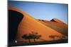 Namibia, Sossusvlei, Dune Sunset and Land Rover-Walter Bibikow-Mounted Photographic Print