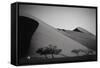 Namibia, Sossusvlei, Dune Sunset and Land Rover-Walter Bibikow-Framed Stretched Canvas