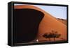 Namibia, Sossusvlei, Namib-Naukluft NP, Dune and Land Rover, Sunset-Walter Bibikow-Framed Stretched Canvas