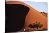 Namibia, Sossusvlei, Namib-Naukluft NP, Dune and Land Rover, Sunset-Walter Bibikow-Stretched Canvas