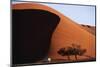 Namibia, Sossusvlei, Namib-Naukluft NP, Dune and Land Rover, Sunset-Walter Bibikow-Mounted Photographic Print