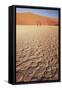 Namibia, Sossusvlei Region, Dry Sand Dunes at Desert-Gavriel Jecan-Framed Stretched Canvas