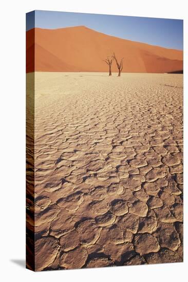 Namibia, Sossusvlei Region, Dry Sand Dunes at Desert-Gavriel Jecan-Stretched Canvas