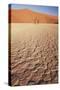 Namibia, Sossusvlei Region, Dry Sand Dunes at Desert-Gavriel Jecan-Stretched Canvas