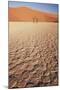 Namibia, Sossusvlei Region, Dry Sand Dunes at Desert-Gavriel Jecan-Mounted Photographic Print