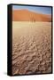 Namibia, Sossusvlei Region, Dry Sand Dunes at Desert-Gavriel Jecan-Framed Stretched Canvas