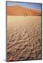 Namibia, Sossusvlei Region, Dry Sand Dunes at Desert-Gavriel Jecan-Mounted Photographic Print