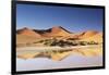 Namibia, Sossusvlei Region, Sand Dunes at Desert-Gavriel Jecan-Framed Photographic Print