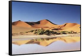 Namibia, Sossusvlei Region, Sand Dunes at Desert-Gavriel Jecan-Framed Stretched Canvas