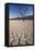 Namibia, Sossusvlei Region, Sand Dunes-Gavriel Jecan-Framed Stretched Canvas