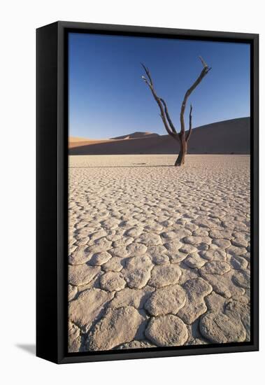 Namibia, Sossusvlei Region, Sand Dunes-Gavriel Jecan-Framed Stretched Canvas