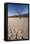 Namibia, Sossusvlei Region, Sand Dunes-Gavriel Jecan-Framed Stretched Canvas