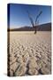 Namibia, Sossusvlei Region, Sand Dunes-Gavriel Jecan-Stretched Canvas