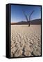 Namibia, Sossusvlei Region, Sand Dunes-Gavriel Jecan-Framed Stretched Canvas