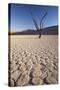 Namibia, Sossusvlei Region, Sand Dunes-Gavriel Jecan-Stretched Canvas