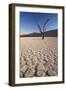 Namibia, Sossusvlei Region, Sand Dunes-Gavriel Jecan-Framed Photographic Print