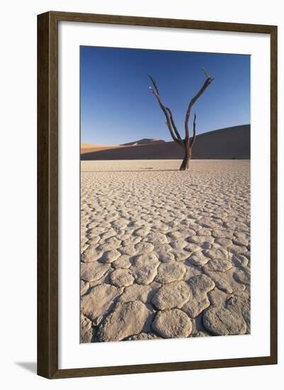 Namibia, Sossusvlei Region, Sand Dunes-Gavriel Jecan-Framed Photographic Print