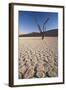 Namibia, Sossusvlei Region, Sand Dunes-Gavriel Jecan-Framed Photographic Print