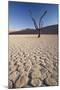 Namibia, Sossusvlei Region, Sand Dunes-Gavriel Jecan-Mounted Photographic Print