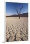 Namibia, Sossusvlei Region, Sand Dunes-Gavriel Jecan-Framed Photographic Print