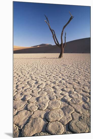 Namibia, Sossusvlei Region, Sand Dunes-Gavriel Jecan-Mounted Premium Photographic Print