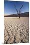 Namibia, Sossusvlei Region, Sand Dunes-Gavriel Jecan-Mounted Premium Photographic Print