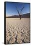 Namibia, Sossusvlei Region, Sand Dunes-Gavriel Jecan-Framed Stretched Canvas