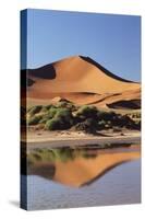 Namibia, Sossusvlei Region, Sand Dunes-Gavriel Jecan-Stretched Canvas