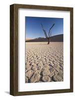 Namibia, Sossusvlei Region, Sand Dunes-Gavriel Jecan-Framed Photographic Print