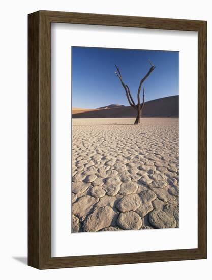 Namibia, Sossusvlei Region, Sand Dunes-Gavriel Jecan-Framed Photographic Print