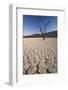 Namibia, Sossusvlei Region, Sand Dunes-Gavriel Jecan-Framed Photographic Print