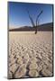 Namibia, Sossusvlei Region, Sand Dunes-Gavriel Jecan-Mounted Photographic Print