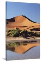 Namibia, Sossusvlei Region, Sand Dunes-Gavriel Jecan-Stretched Canvas