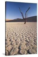 Namibia, Sossusvlei Region, Sand Dunes-Gavriel Jecan-Stretched Canvas