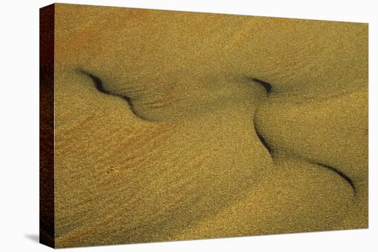 Namibia Structural Forms in the Sand of the Namib Desert-null-Stretched Canvas